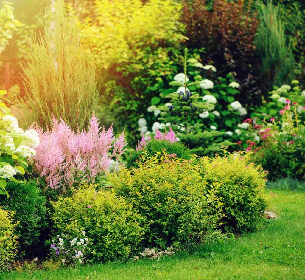 Mildura's Landscaper and Garden Designer will make your garden beautiful